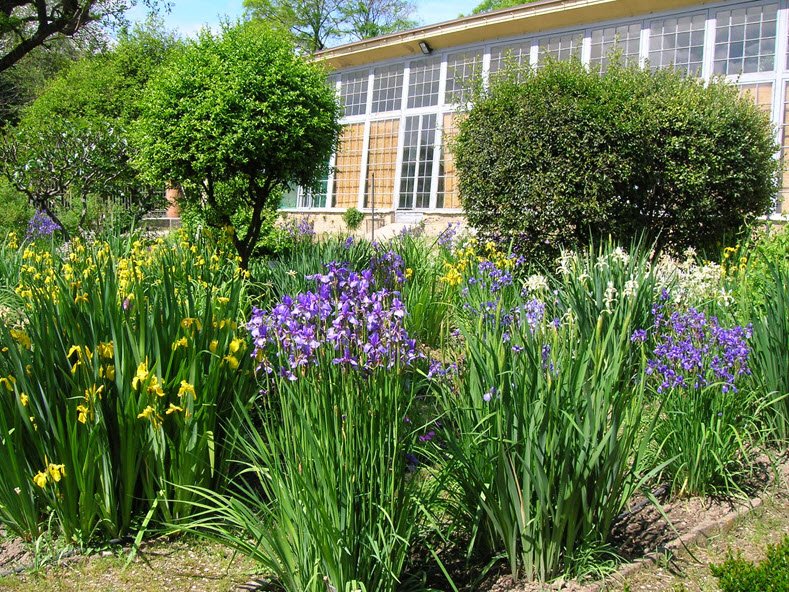 Botanical Garden of the University of Modena and Reggio Emilia, Modena, Italy, Italy